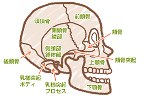 �̑��@�\�ቺ�ɂ��A�g�s�[