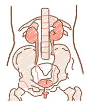 �t���ւ̕��S�������̃A�g�s�[