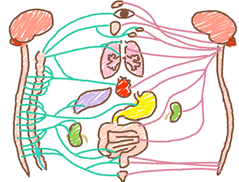 �����o�Ă��܂��^�C�v