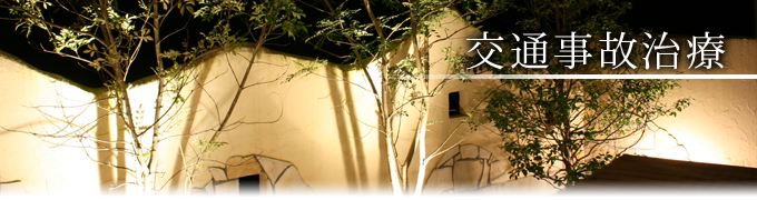 ��ʎ��̎���