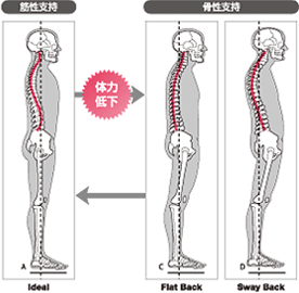 �V���N���E�F�C�u�摜03